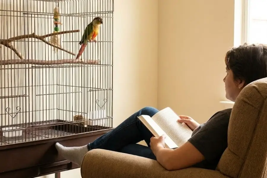 How to Bond With a Rescue Bird Who Is Afraid of Hands